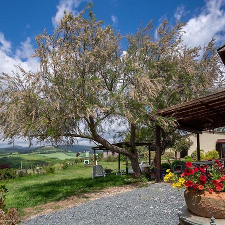 Agriturismo Il Canterino Guardistallo Εξωτερικό φωτογραφία