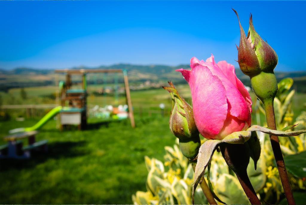 Agriturismo Il Canterino Guardistallo Εξωτερικό φωτογραφία