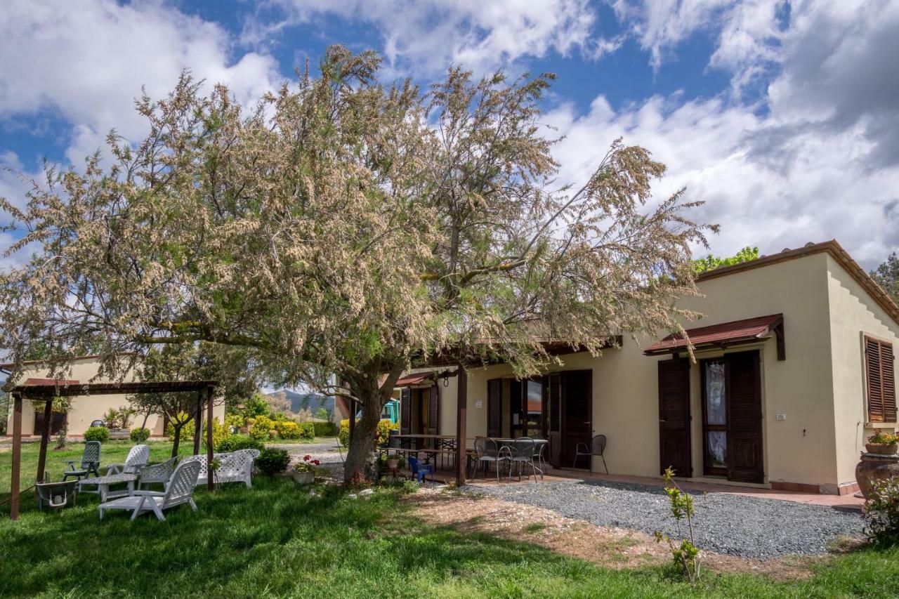 Agriturismo Il Canterino Guardistallo Εξωτερικό φωτογραφία